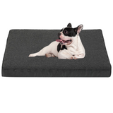 Orthopedic Dog Bed