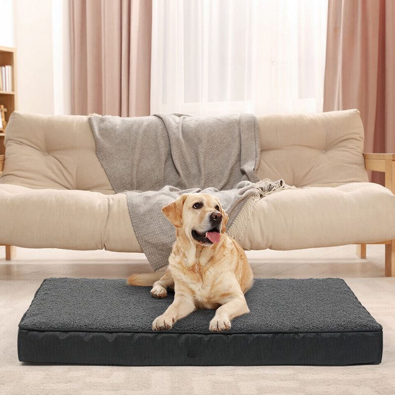 Orthopedic Dog Bed